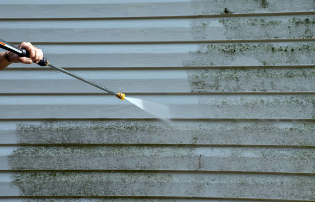 Best Residential Pressure Washing Services  in Wauconda, IL